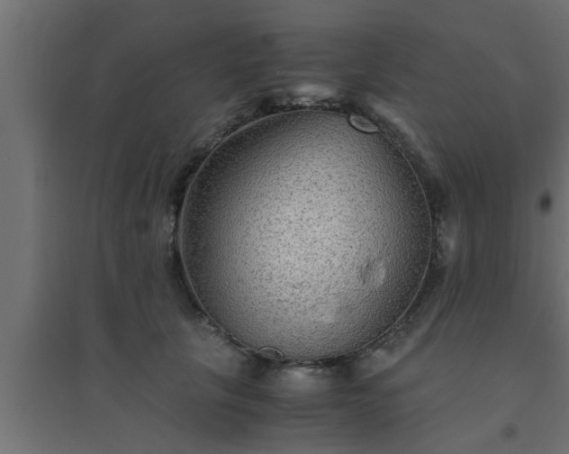 X0000094800657200711241425