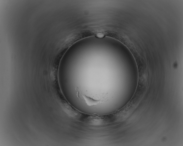 X0000094800658200711241425