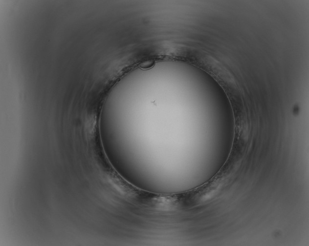 X0000094800660200711241425