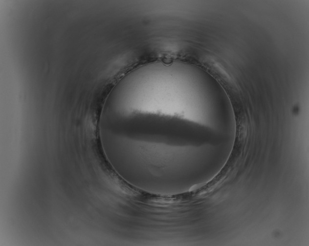 X0000094800661200711241425