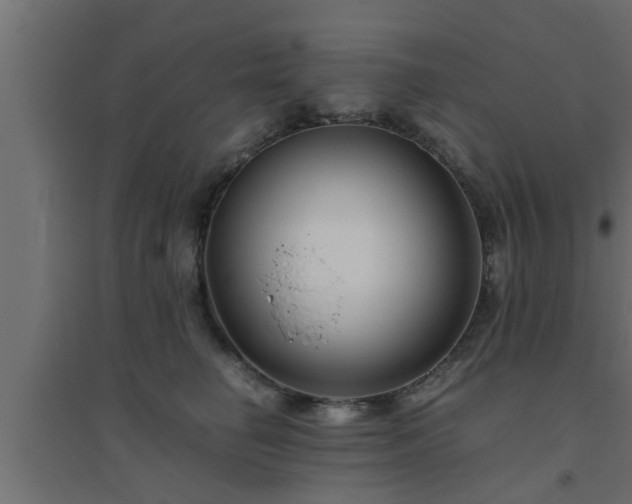 X0000094800662200711241425