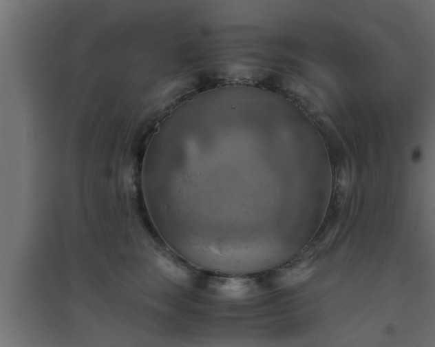 X0000094800663200711241425
