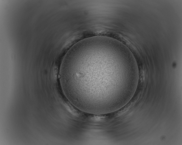 X0000094800664200711241425