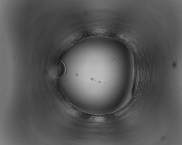 X0000094800665200711241425