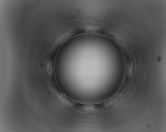 X0000094800666200711241425
