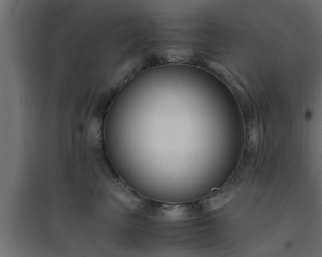 X0000094800667200711241425