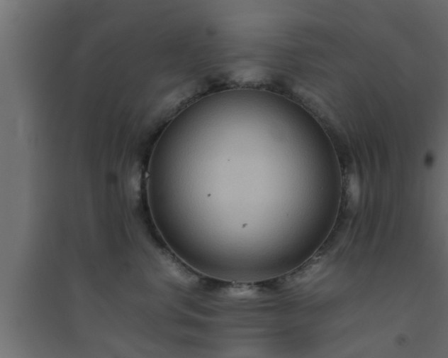 X0000094800668200711241425
