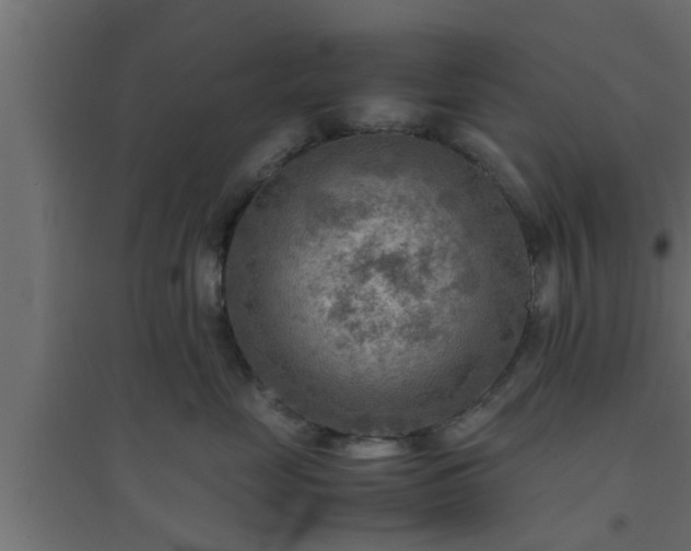 X0000094800669200711241425