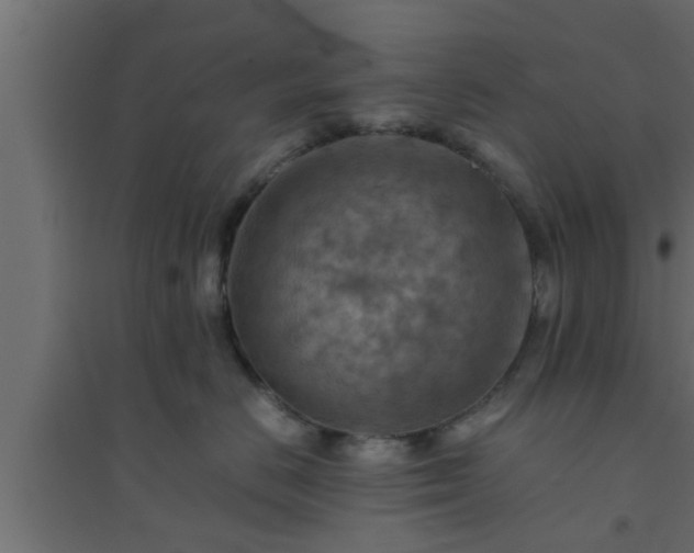 X0000094800670200711241425