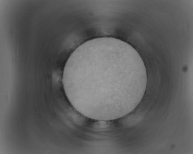 X0000094800672200711241425