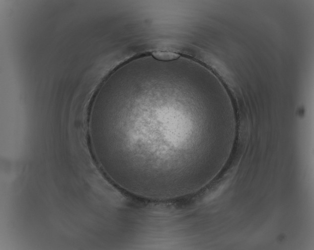 X0000094800673200711241424