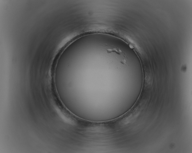 X0000094800674200711241424