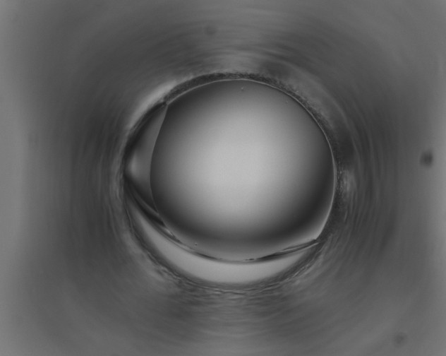 X0000094800676200711241424