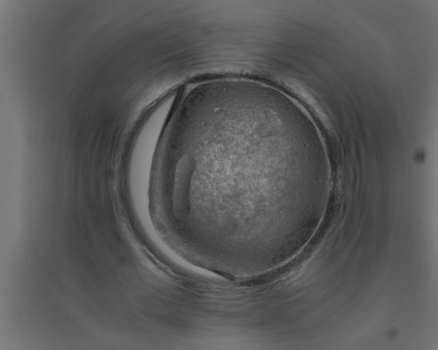 X0000094800677200711241424