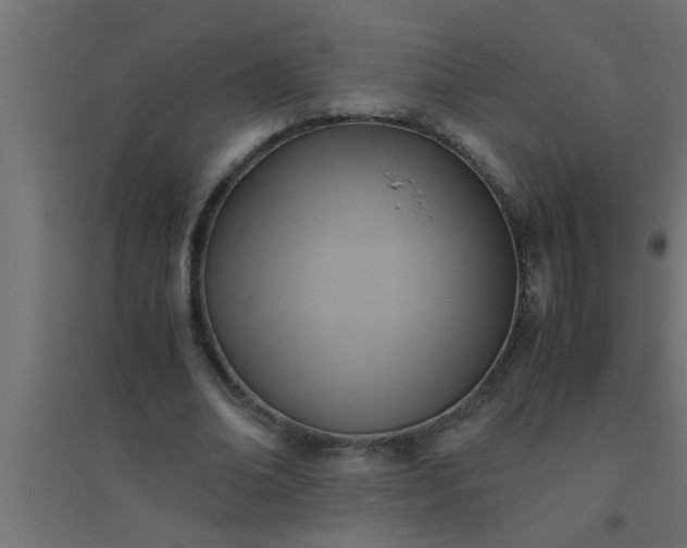 X0000094800678200711241424