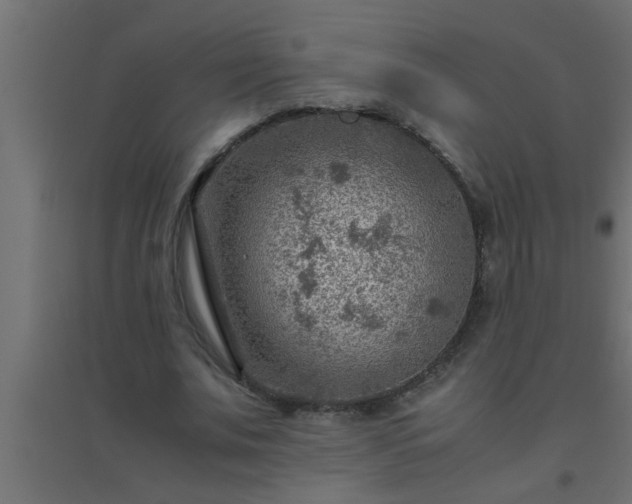 X0000094800679200711241424