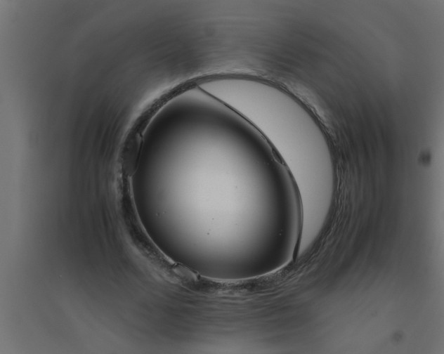 X0000094800680200711241424