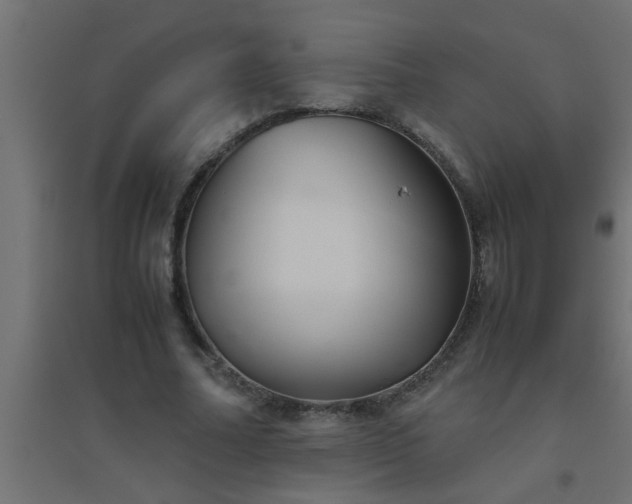 X0000094800682200711241424