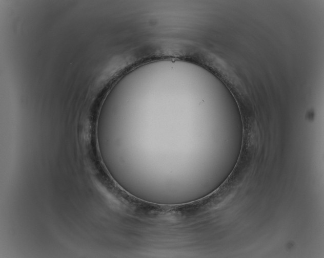 X0000094800683200711241424