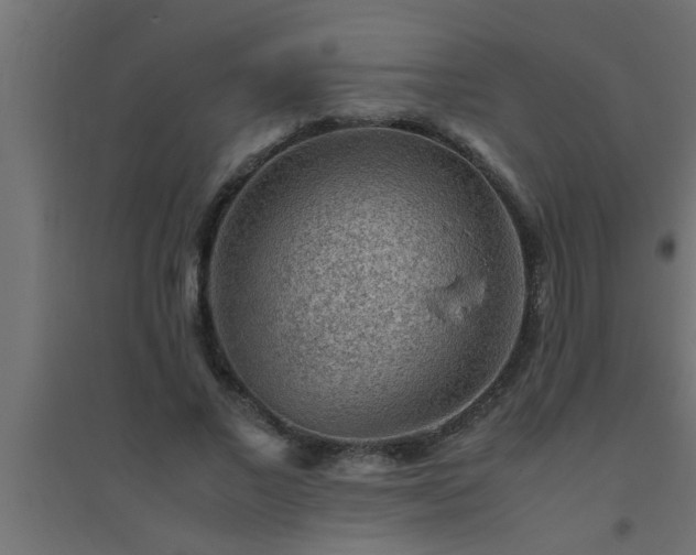 X0000094800685200711241424
