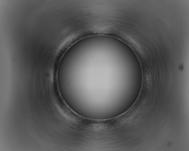 X0000094800686200711241424