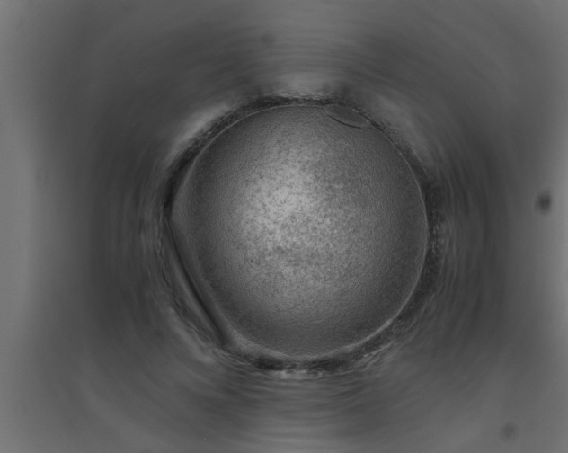 X0000094800688200711241424