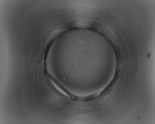 X0000094800689200711241424