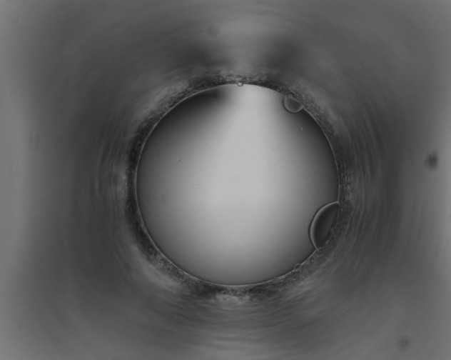 X0000094800690200711241424