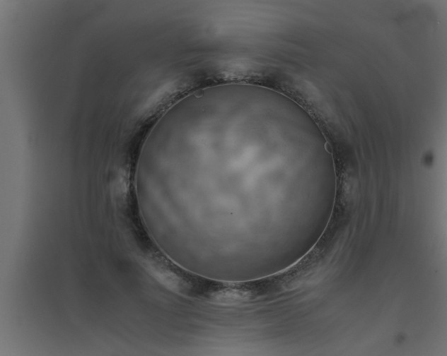 X0000094800691200711241424