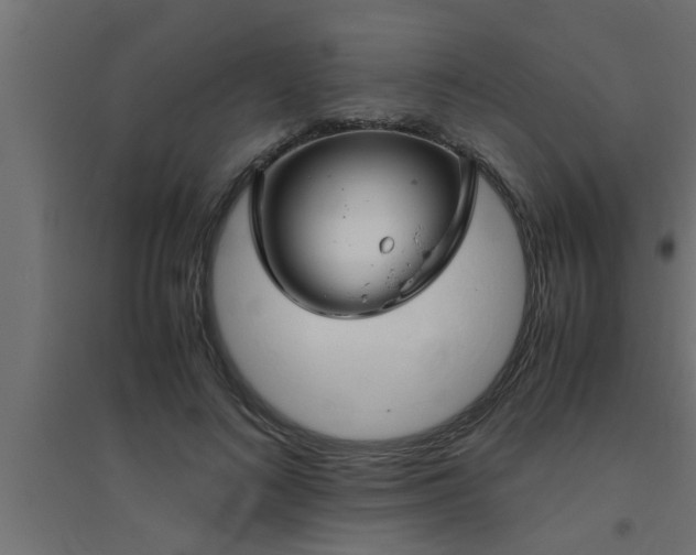 X0000094800692200711241424