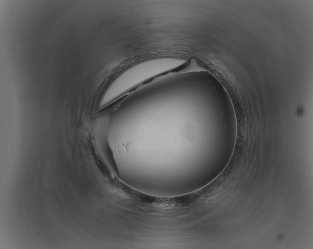 X0000094800693200711241424