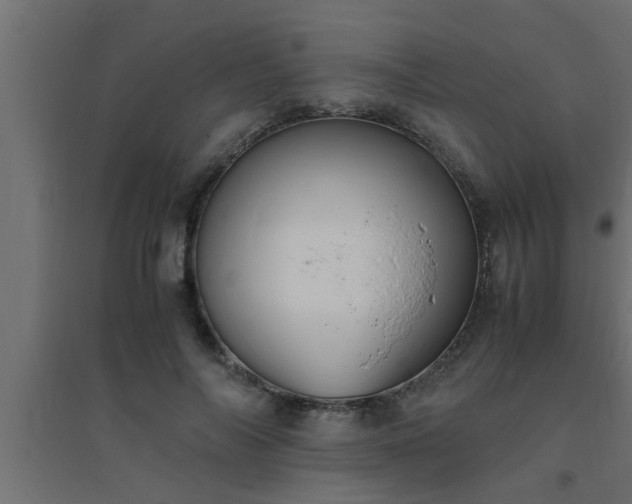X0000094800694200711241424