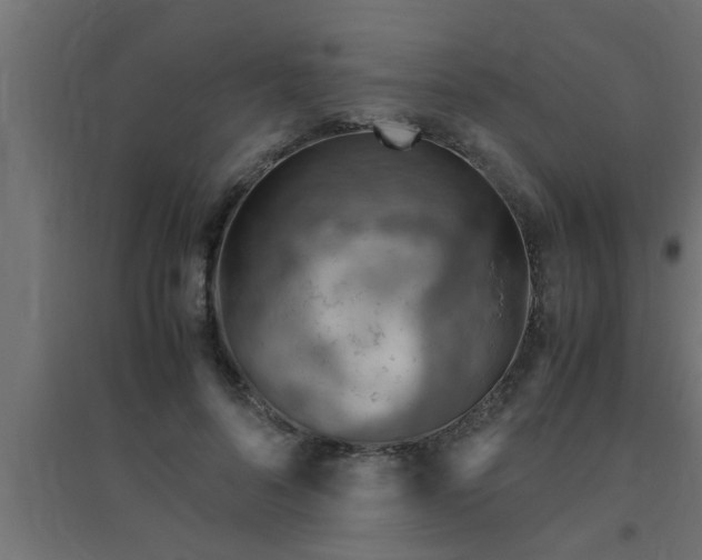 X0000094800696200711241424