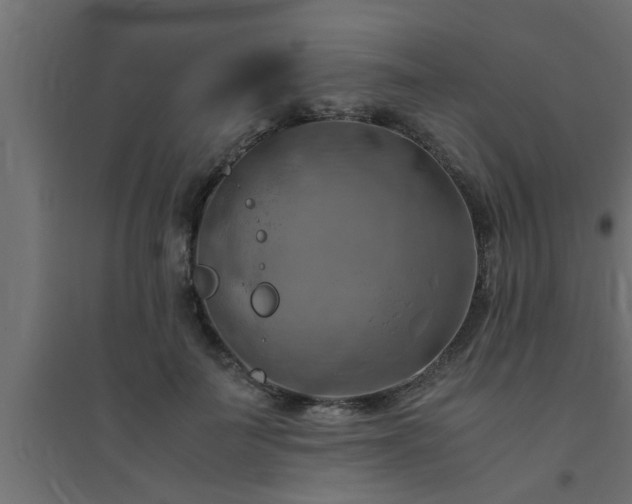 X0000094800699200711241424