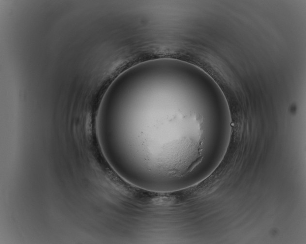 X0000094800700200711241424