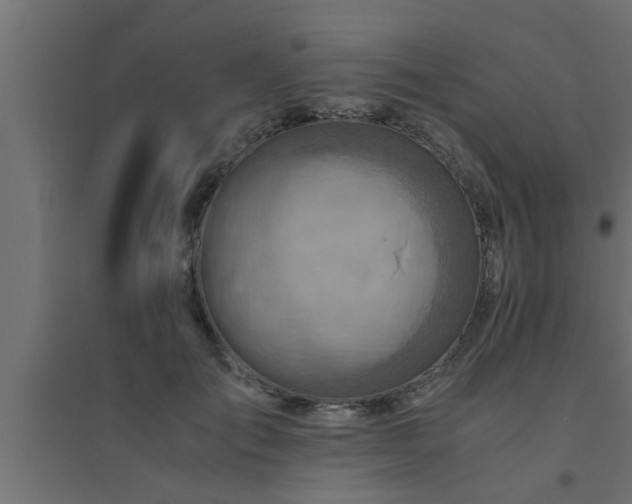 X0000094800701200711241424