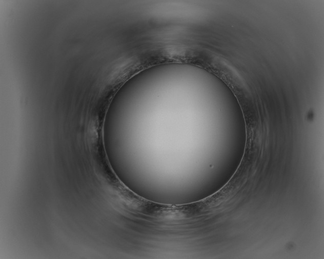 X0000094800702200711241424