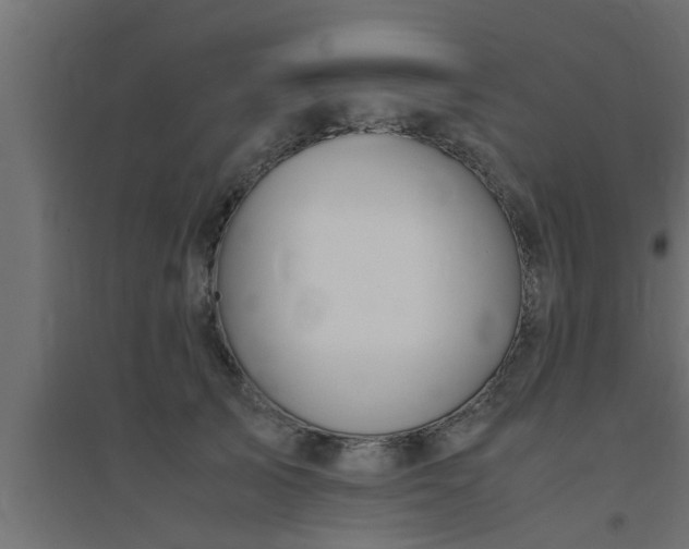 X0000094800705200711241424