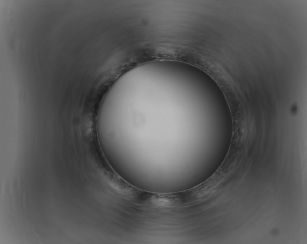 X0000094800706200711241424