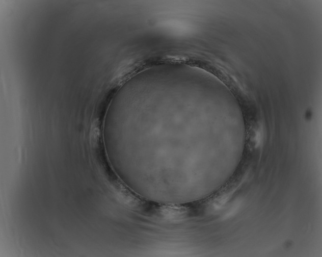 X0000094800707200711241424