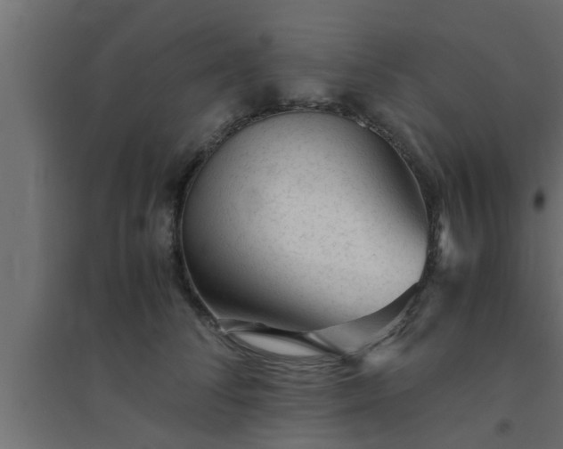 X0000094800708200711241424