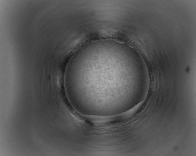 X0000094800712200711241424