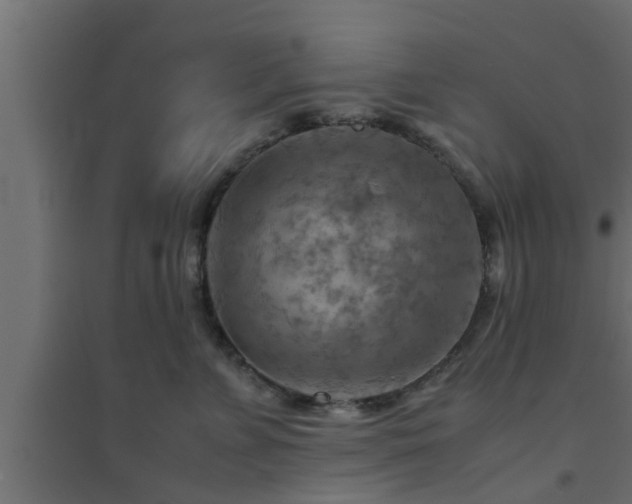 X0000094800715200711241424
