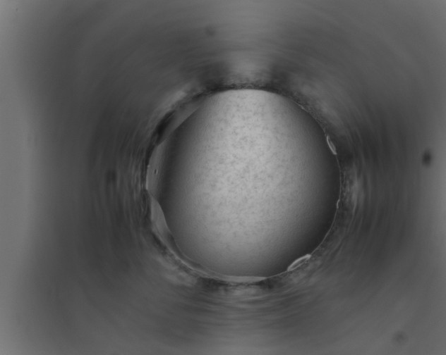X0000094800716200711241424
