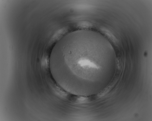 X0000094800718200711241424