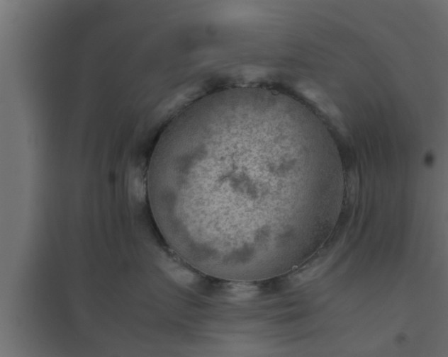 X0000094800719200711241424