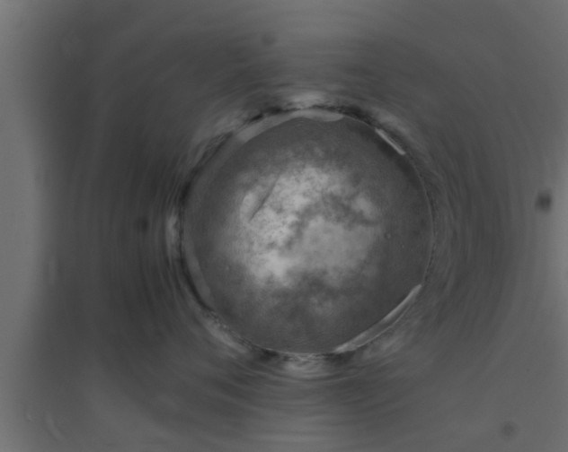X0000094800720200711241424