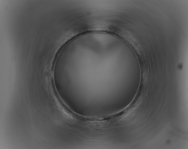 X0000094800721200711241423