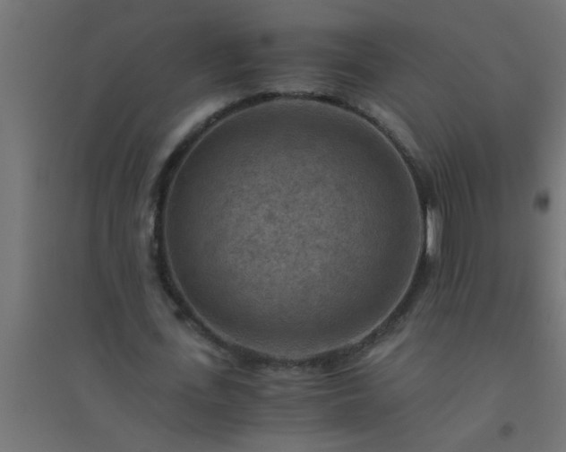 X0000094800723200711241423