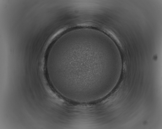 X0000094800724200711241423